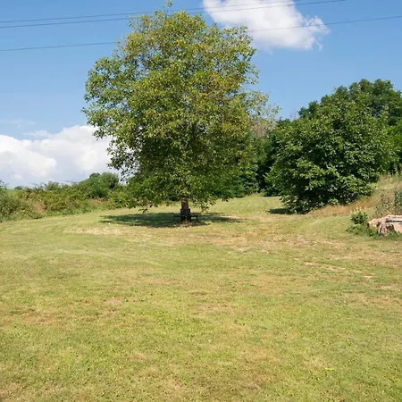 Wellness - Vodní Nádrž Slapy - 40km Od Prahy Casa vacanze Necin