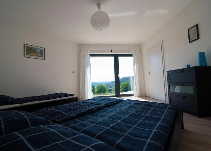 Hébergement de vacances Wellness - Vodni Nadrz Slapy - 40km Od Prahy Necin